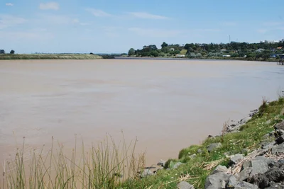 Kaipara District - Photo 5