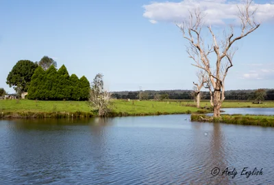 Bodalla - Photo 2