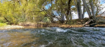 Shire of Towong - Photo 5