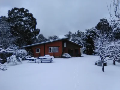Berridale - Photo 5
