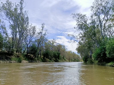 Toolamba - Photo 3