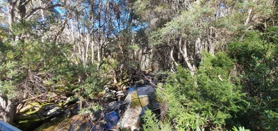 Thredbo - Photo 4