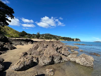 Thames-Coromandel District - Photo 2