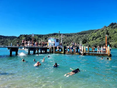 Thames-Coromandel District - Photo 3