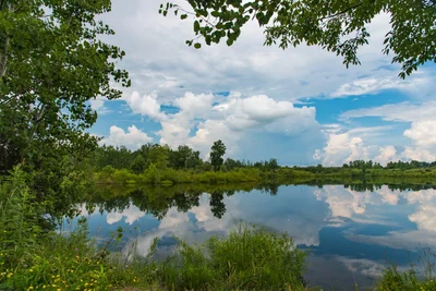 Grove City - Photo 5