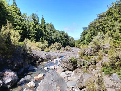 Waterfall to Valley Road track - Photo 2