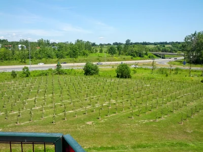 Cramahe - Photo 3