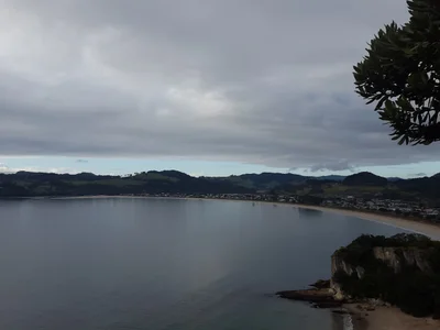 Cooks Beach - Photo 5