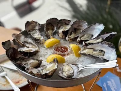 The Shucker Brothers - Photo 4