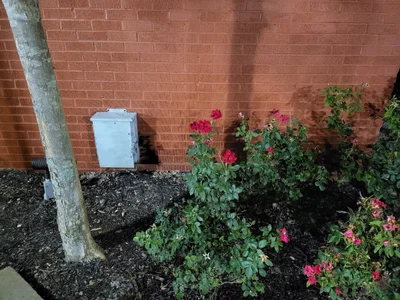 Douglasville - Photo 5
