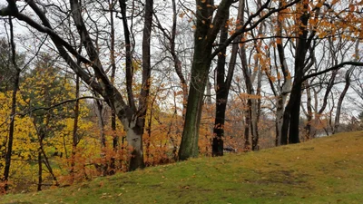 Ashtabula - Photo 3