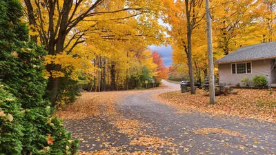 Muskoka Lakes Township - Photo 4