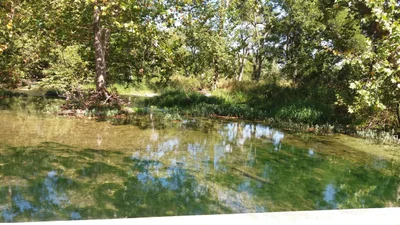 Spring Branch - Photo 3
