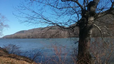 Bloomsburg - Photo 3
