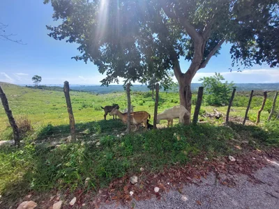 Pedernales - Photo 3