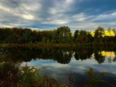 Westford - Photo 2