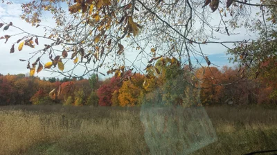Westford - Photo 5
