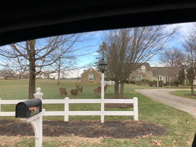 Whitemarsh Township - Photo 2
