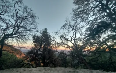 Crestline - Photo 3