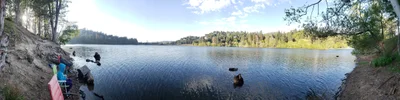 Crestline - Photo 4