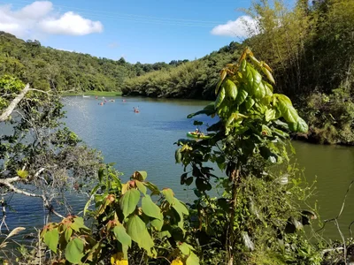 Adjuntas - Photo 2