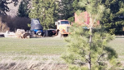Cle Elum - Photo 5