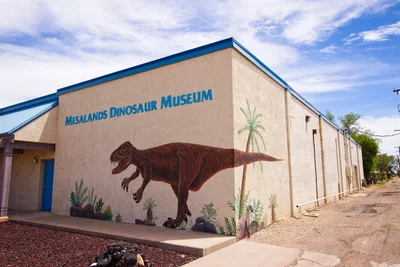 Tucumcari - Photo 2