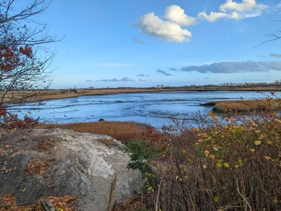 Malden - Photo 2