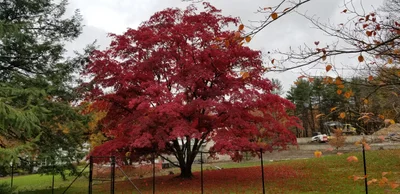 New Canaan - Photo 4