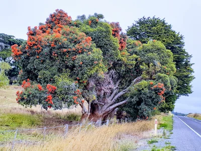 Mumbannar - Photo 2