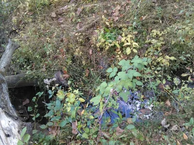 Man - Photo 2
