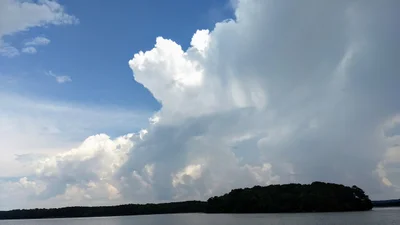 Russellville - Photo 5