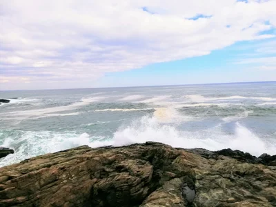 Nahant - Photo 2