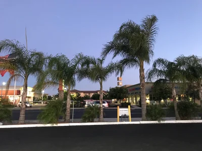 Manteca - Photo 2