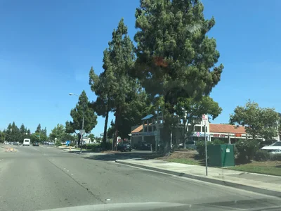 Manteca - Photo 5