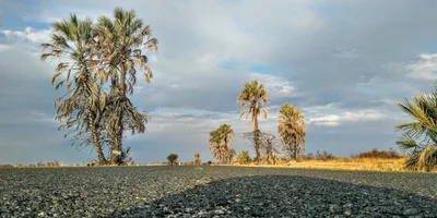 Gweta - Photo 4