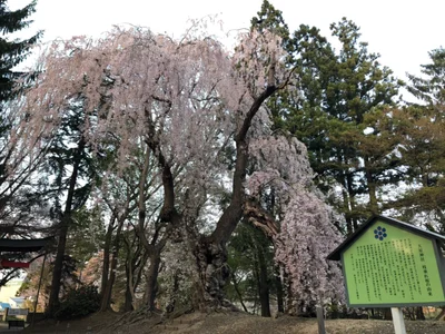 Aomori - Photo 3