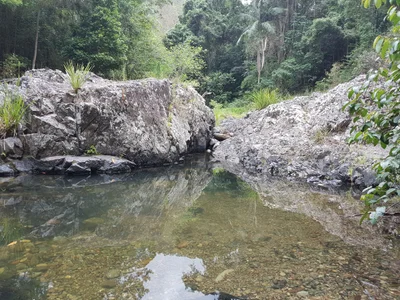 Mount Glorious - Photo 2