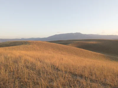 Akkaynar - Photo 2