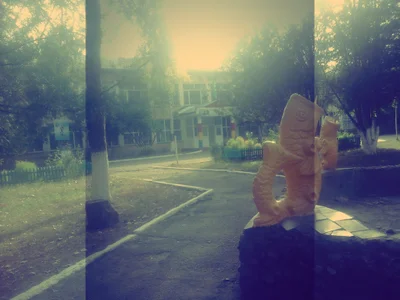 Akkaynar - Photo 3