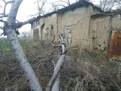Akkaynar - Photo 5