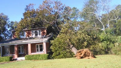 Raeford - Photo 5