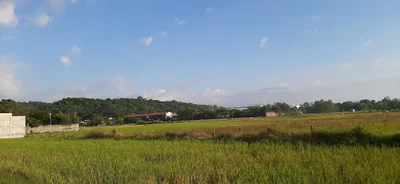 Bauang - Photo 3