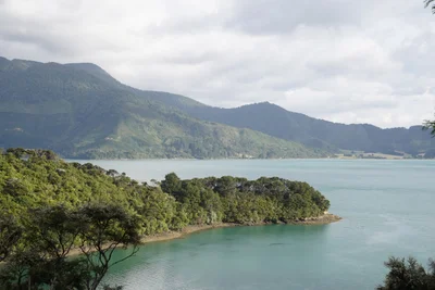 Te Mahia - Photo 2
