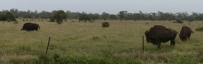 Lotus Creek - Photo 3