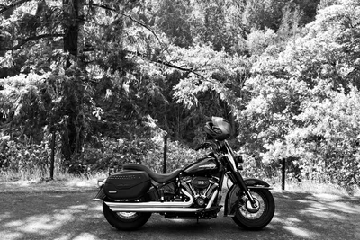Sutherlin - Photo 5