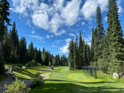 Sun Peaks Mountain Resort Municipality - Photo 5