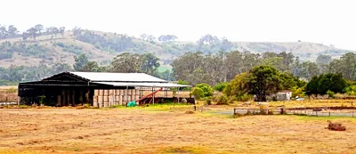 Menangle - Photo 2