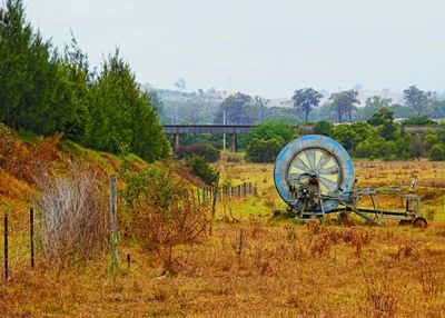 Menangle - Photo 3