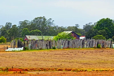 Menangle - Photo 4
